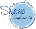 Yayasan SHEEP Indonesia Official Website